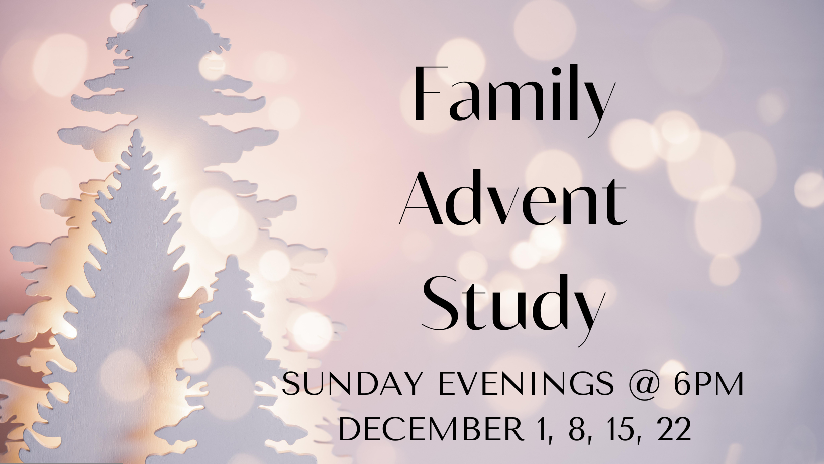 Family Advent Study